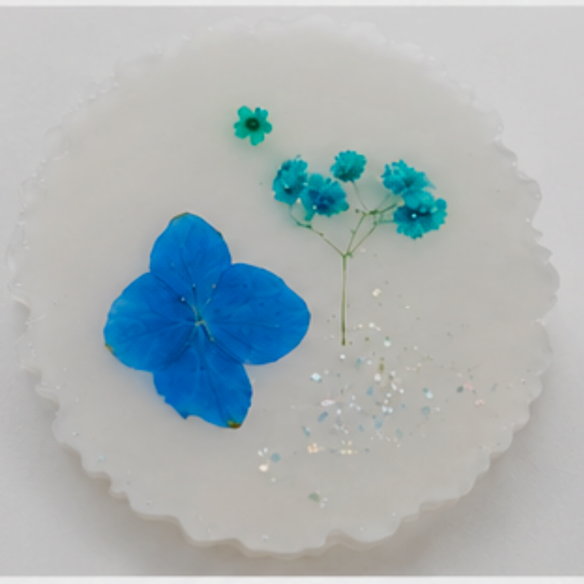Elegant Pressed Flower & White Resin Coaster Set (4-Piece)