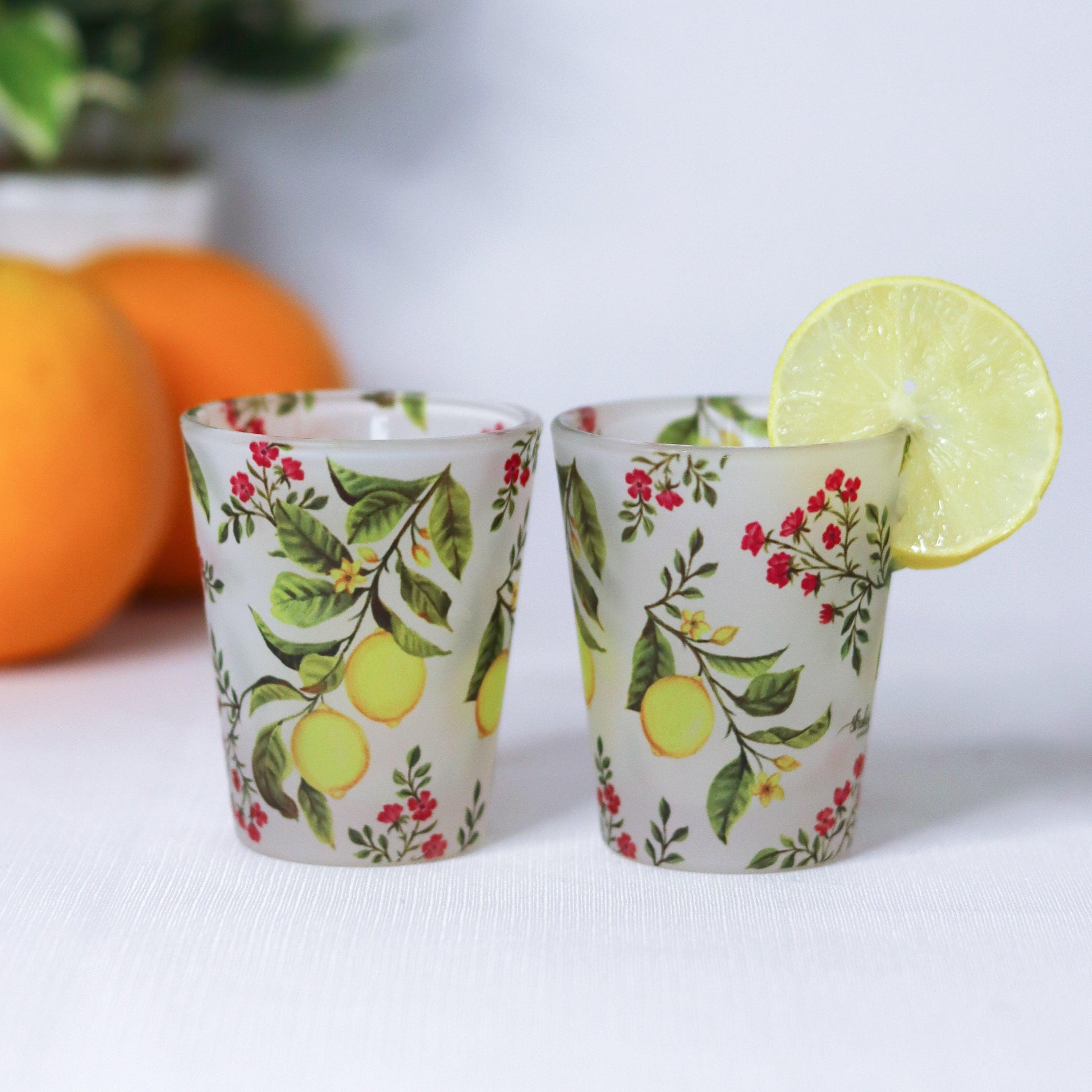 Zesty Lemon Frosted Shot Glasses Set of 4