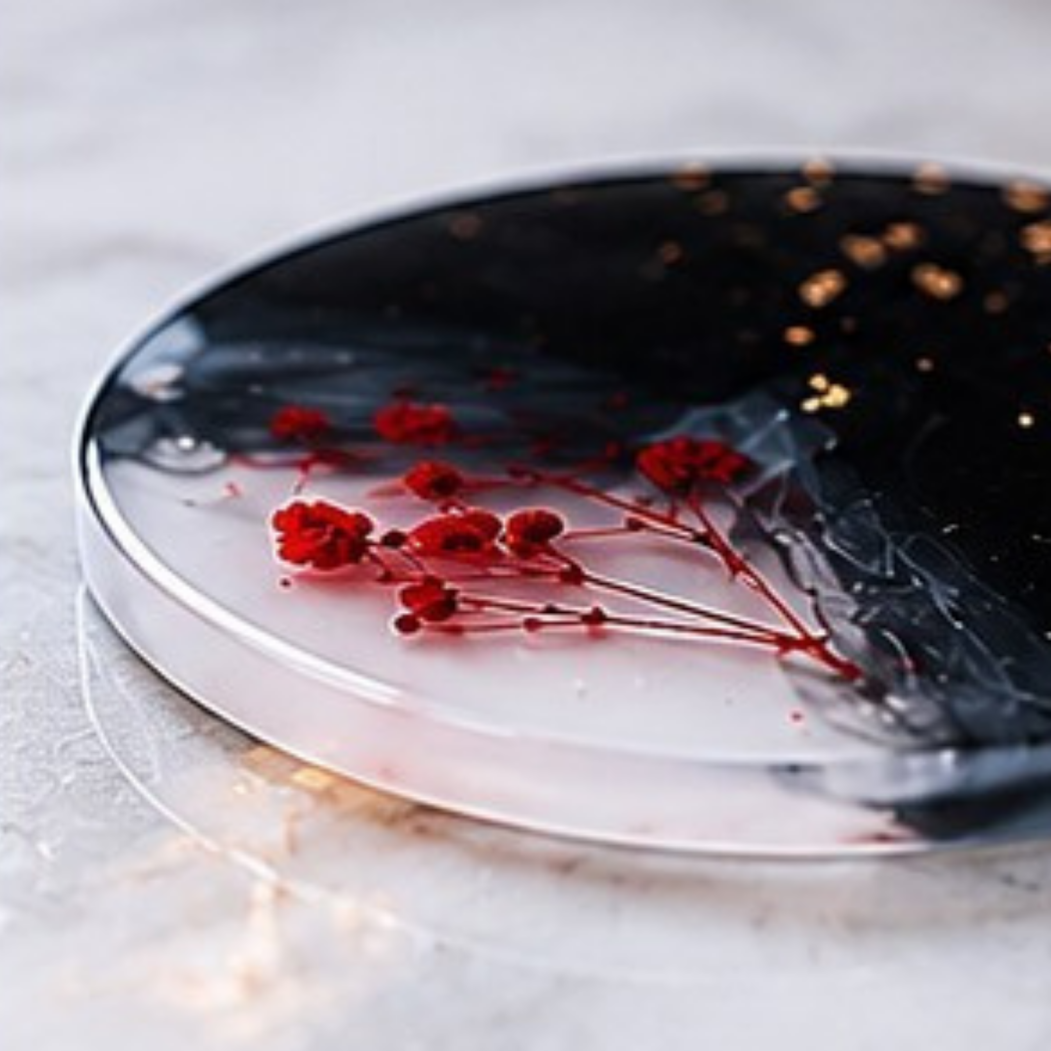 Handmade Resin Coaster Set of 4 | Black & White Abstract Coasters with Red Floral Design & Gold Foil Accents