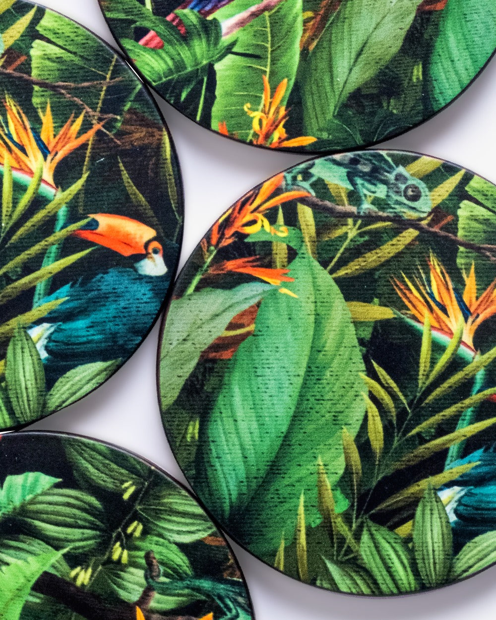 Birds of paradise Hardwood coasters set of 4