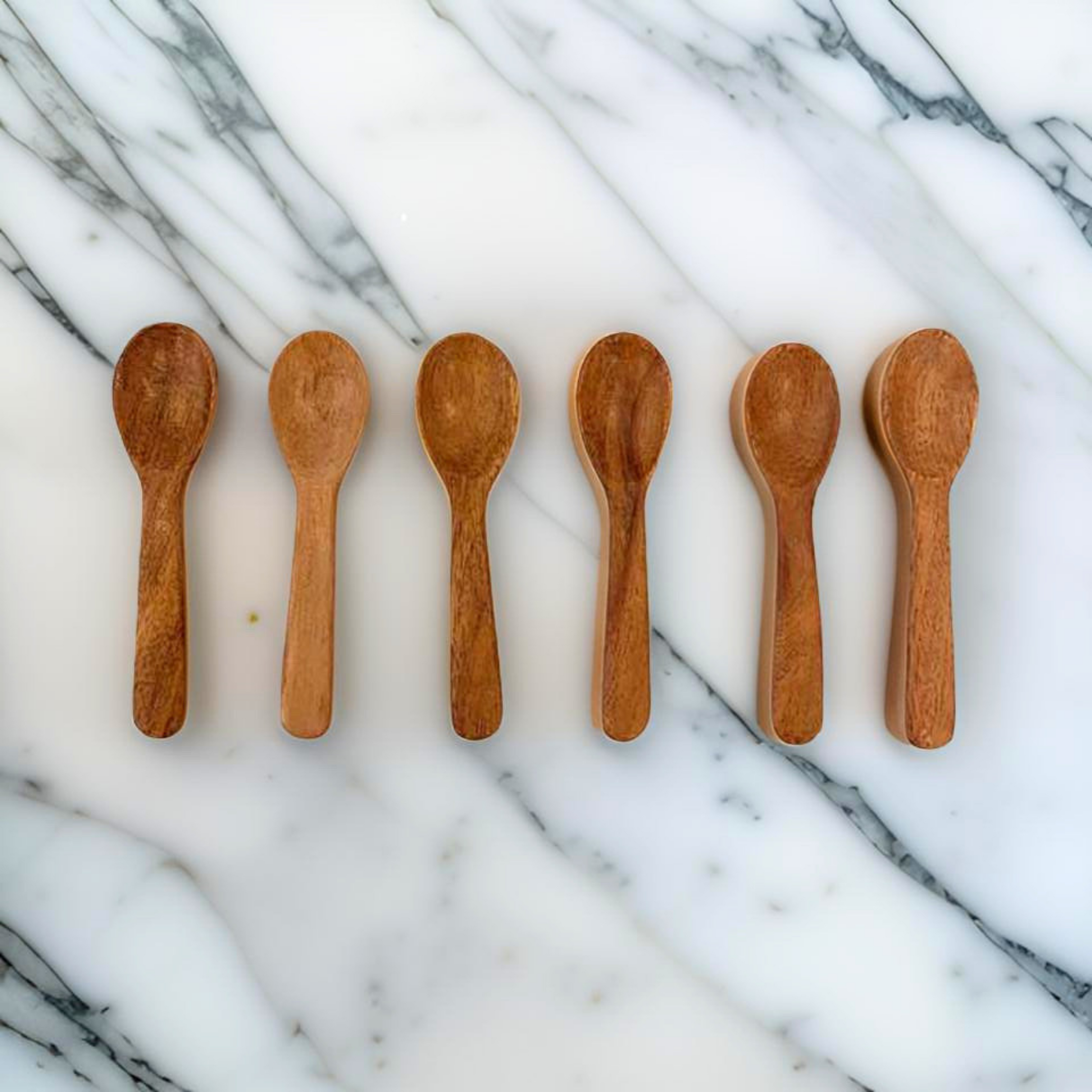 MASALA SPOON SET