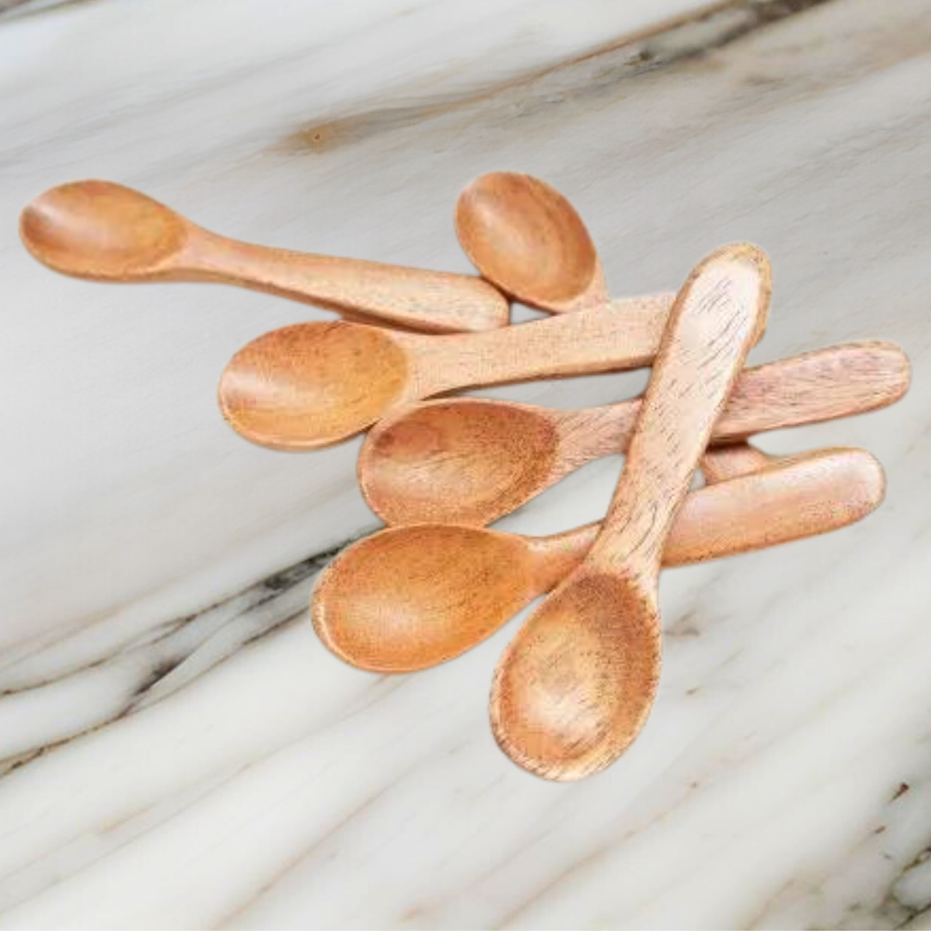 MASALA SPOON SET